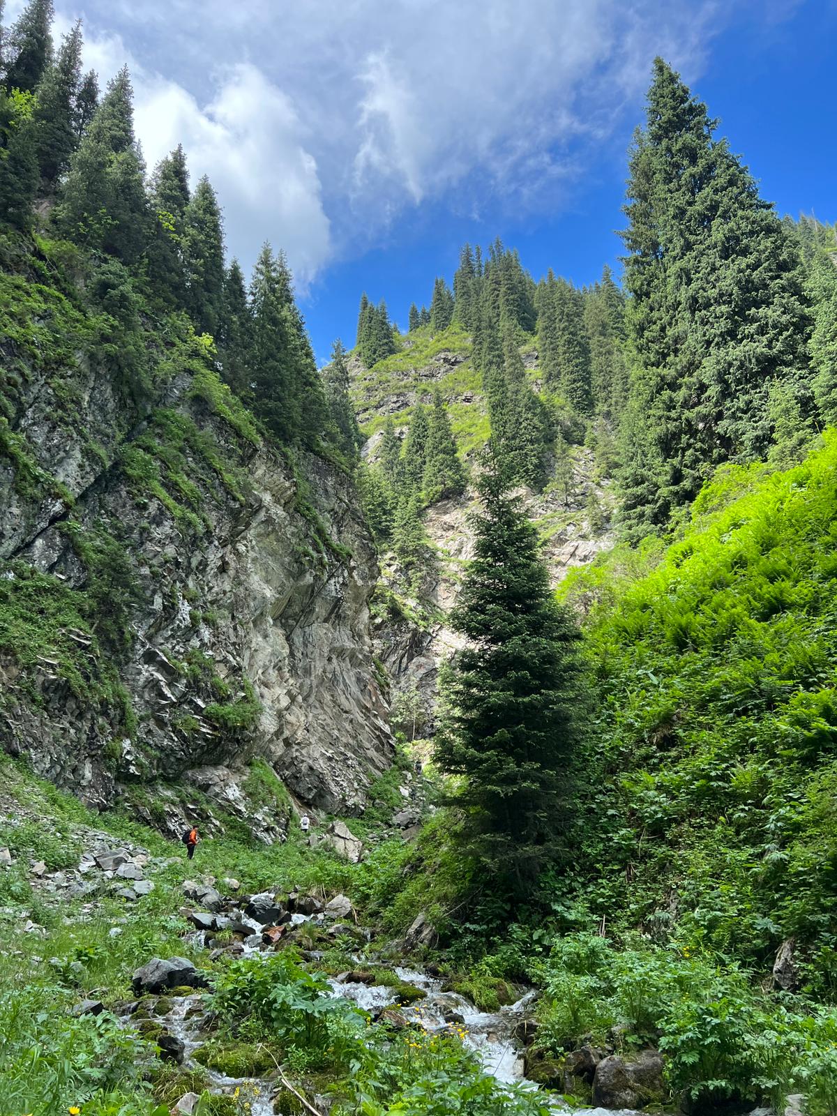Ayusay Visitor Center